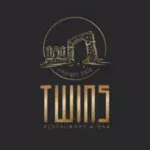alya endustriyel twins